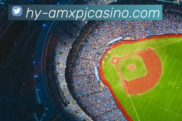 澳门新葡京娱乐平台生态图